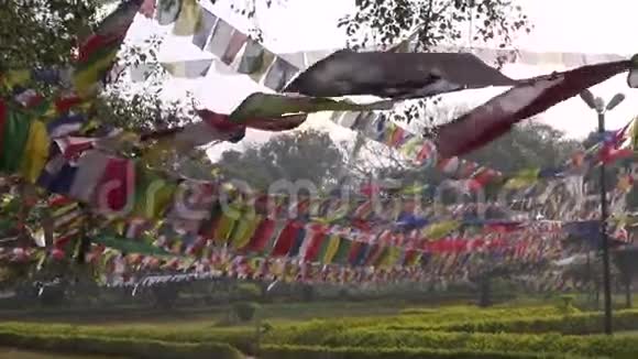 兰比尼佛祖地的佛教祈祷旗视频的预览图