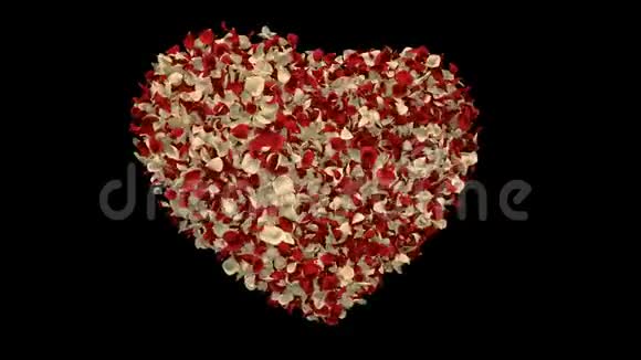 旋转红白玫瑰花瓣在心形阿尔法通道回路4k视频的预览图