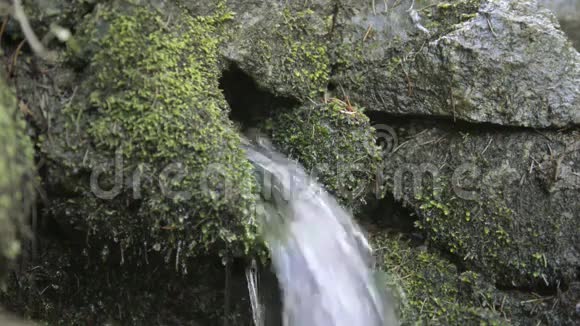 泉水来自岩石视频的预览图