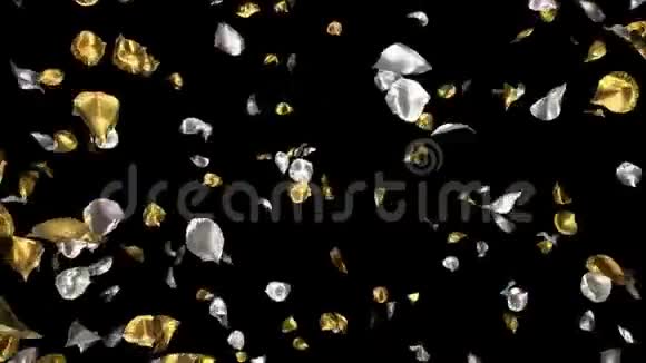 旋转飞舞的浪漫金色银色玫瑰花瓣阿尔法通道循环视频的预览图
