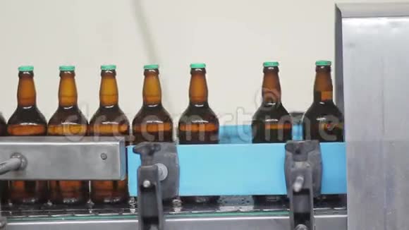 啤酒厂瓶装啤酒自动生产线视频的预览图