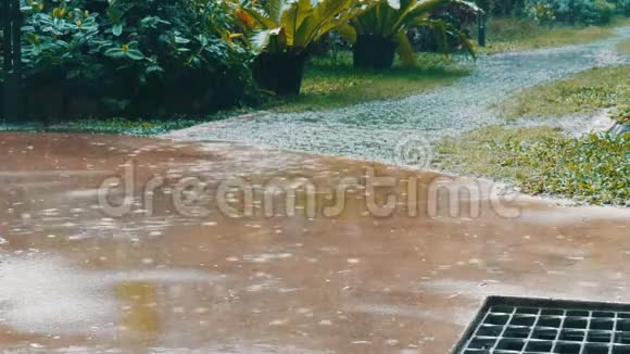 雨在一个热带国家街上的倾盆大雨视频的预览图