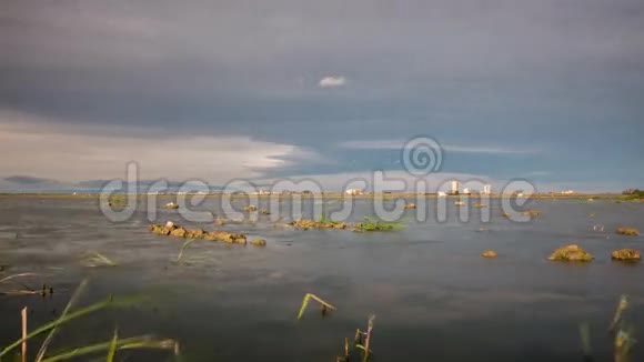 美丽的稻田与水在阿尔布法拉巴伦西亚视频的预览图