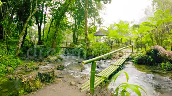 旅游步道上的小竹桥泰国清迈视频的预览图