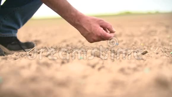农民手工播种视频的预览图