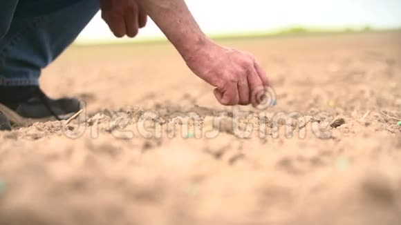 农民手工播种视频的预览图