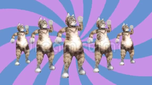 喜剧猫在一个充满活力的舞蹈片段中挥动爪子和尾巴夏天的心情视频的预览图