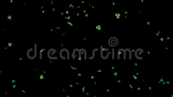 绿色的三叶草叶落在阿尔法环上视频的预览图
