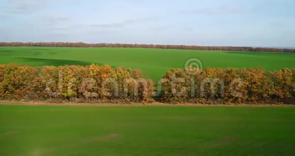 秋天大麦田的鸟瞰图令人惊叹的景观一天中有红色和橙色叶子的树木视频的预览图