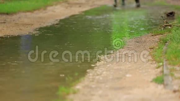 快乐的孩子在大雨后奔跑视频的预览图