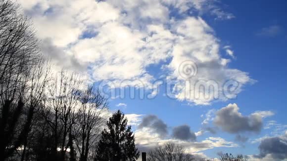 背景蓝色的天空云时间流逝树冬天视频的预览图