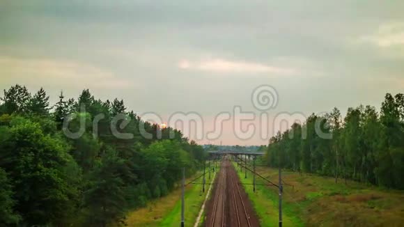 铁路在森林里超时视频的预览图