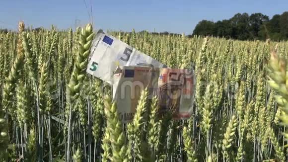 农业商业概念AA一种的欧元纸币视频的预览图