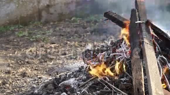 视频燃烧树叶和木板的火视频的预览图