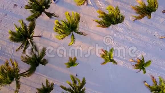空中无人机射击镜头慢慢地在椰子棕榈之间飞舞加勒比海沿岸美丽的日落视频的预览图