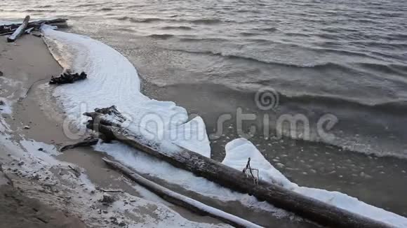 俄罗斯奥布水库秋季在河流上形成冰视频的预览图