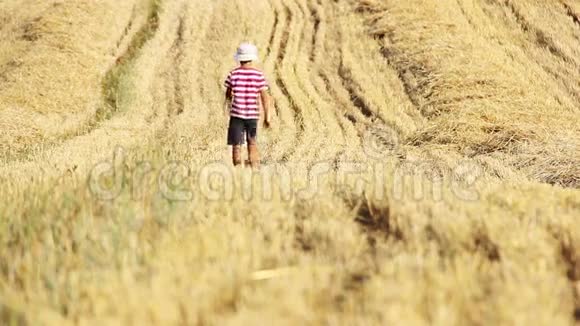 男孩在黄色的田野里男孩在稻草里男孩在割草地里视频的预览图