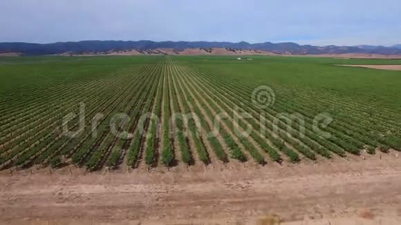 加州葡萄农场空中录像视频的预览图