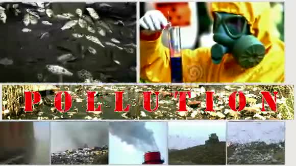 污染环境分屏视频的预览图