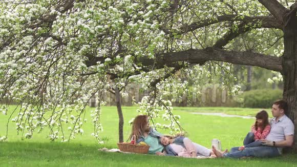 幸福的家庭花时间在盛开的苹果树附近野餐爸爸妈妈和两个女儿把时间花在户外视频的预览图