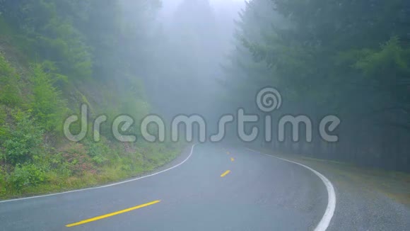 薄雾中的寂寞之路穿过红杉国家公园视频的预览图