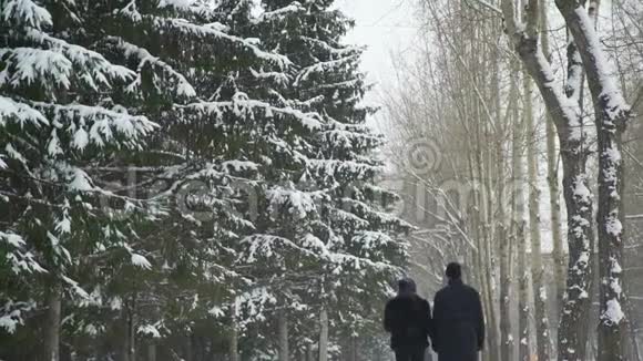 在雪天散步的年轻夫妇视频的预览图
