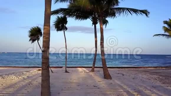 空中无人机射击镜头慢慢地在椰子棕榈之间飞舞加勒比海沿岸美丽的日落视频的预览图