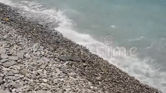 滩浪最美卵石视频的预览图