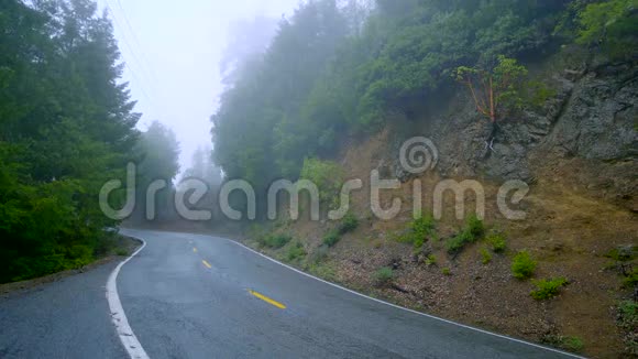 薄雾中的寂寞之路穿过红杉国家公园视频的预览图