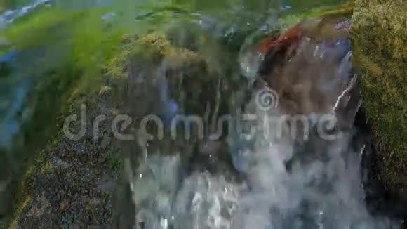溪水从岩石上流下来特写镜头视频的预览图