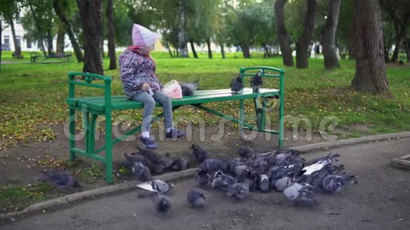 一个小女孩在一个秋天的公园里喂鸽子视频的预览图