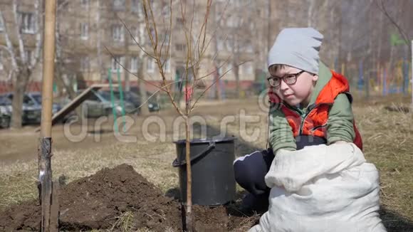春天一个小男孩在一栋多层住宅楼旁边种果树生态在视频的预览图