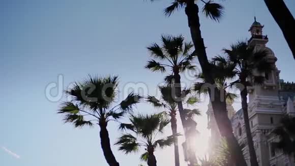 摩纳哥城市蒙特卡洛街道棕榈阳光明媚视频的预览图