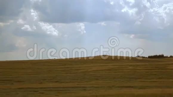 金色麦田的全景视频的预览图