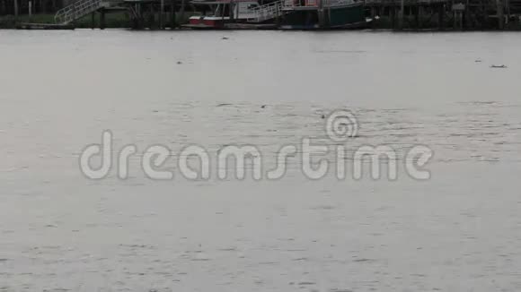 潮法拉河上的船视频的预览图