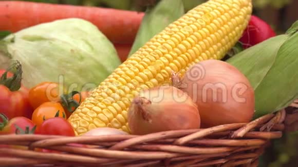 篮子里装满玉米西红柿土豆和洋葱的静物视频的预览图