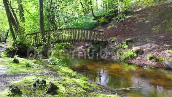森林中的河流有木桥树叶高清镜头视频的预览图