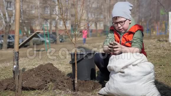 春天一个小男孩在一栋多层住宅楼旁边种果树生态在视频的预览图
