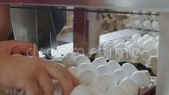 自动化装置在一个小农舍里标记鸡蛋视频的预览图
