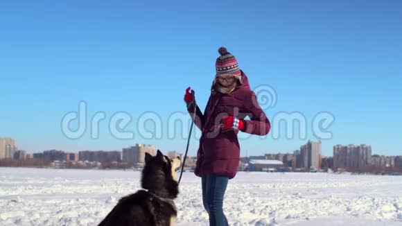 一位年轻女子在冰冻的河流中以城市景观为背景与她的哈士奇狗玩耍视频的预览图