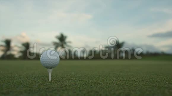 高尔夫球在撞击前站在球座上视频的预览图