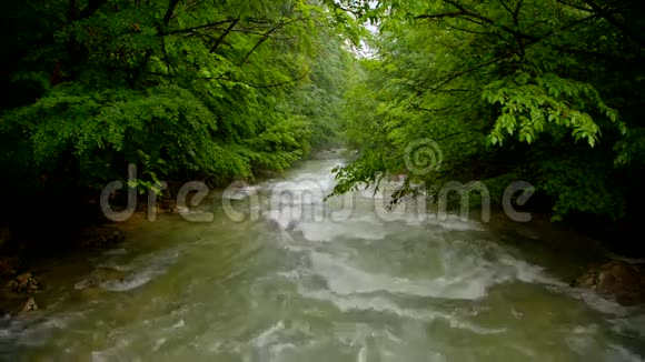 河流在森林中快速流动视频的预览图