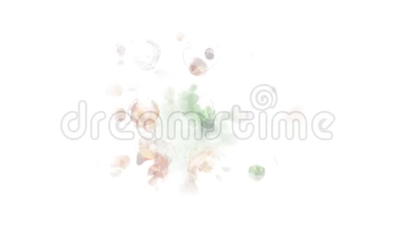 榛子装饰动画视频的预览图