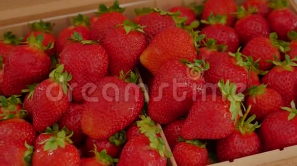 新鲜的草莓背景成熟的草莓特写视频的预览图