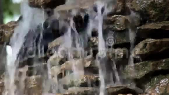 森林河小瀑布全高清视频视频的预览图