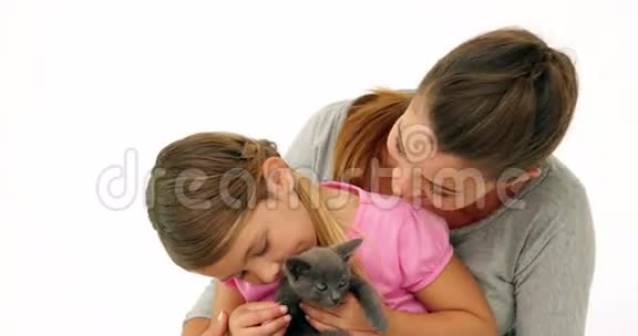 可爱的母女和一只灰色的小猫视频的预览图