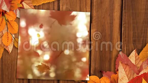 秋叶落在木桌上视频的预览图