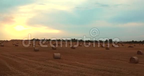 日落天空下有稻草带的4k气田视频的预览图