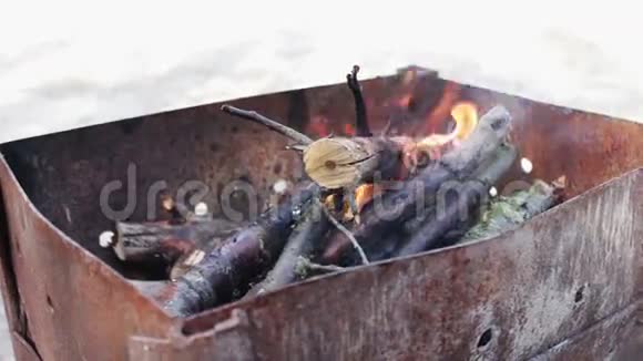 干燥的老树枝在烤架里燃烧视频的预览图