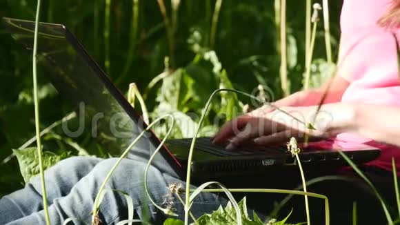 在草地上工作的女人拿着笔记本电脑视频的预览图